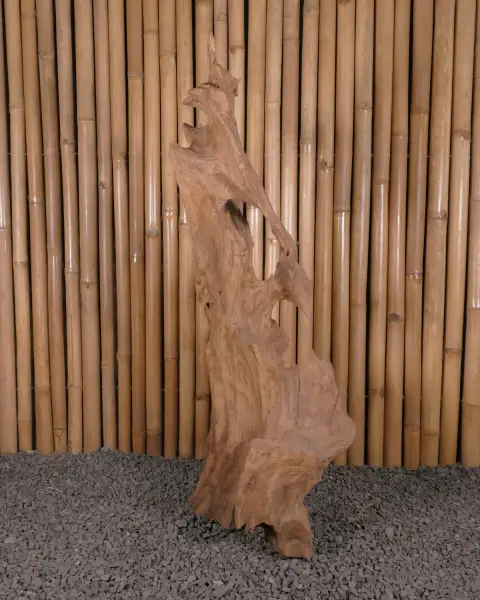 Product image 1 of the product “Root made of teak wood about 110cm height ”